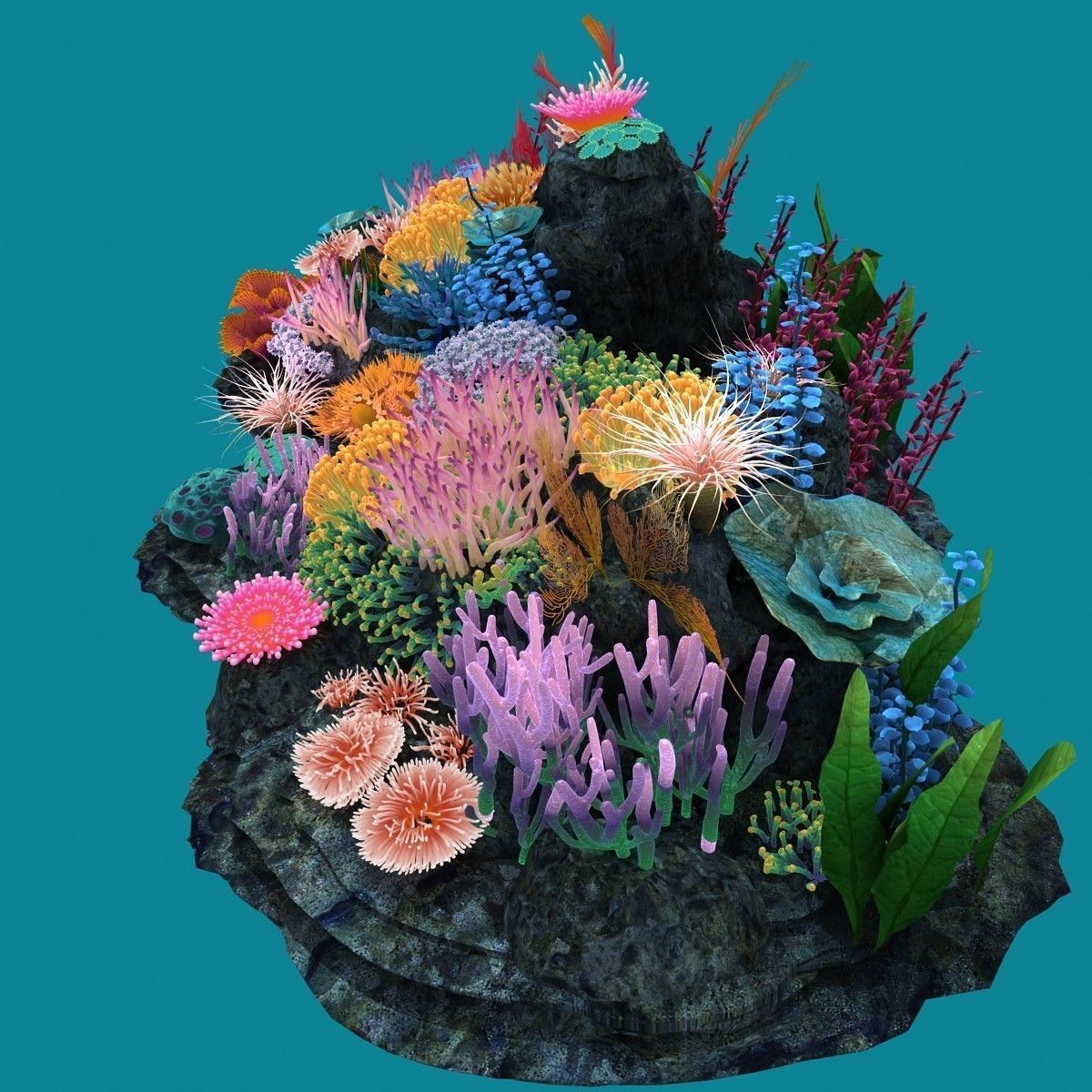 Coral corals and plants on rock 3D model_2