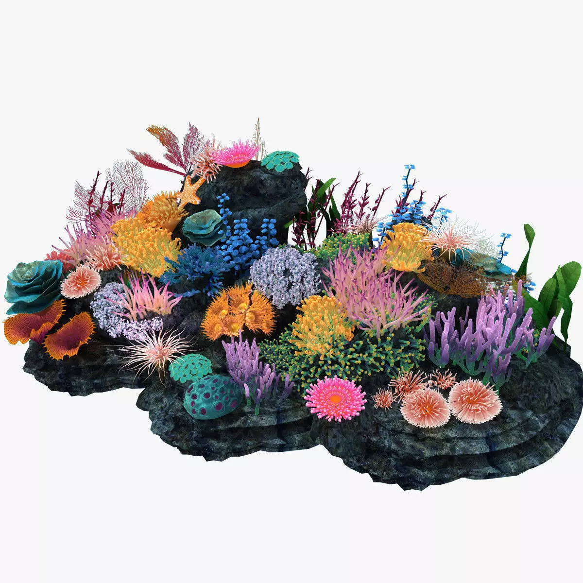 Coral corals and plants on rock 3D model_0