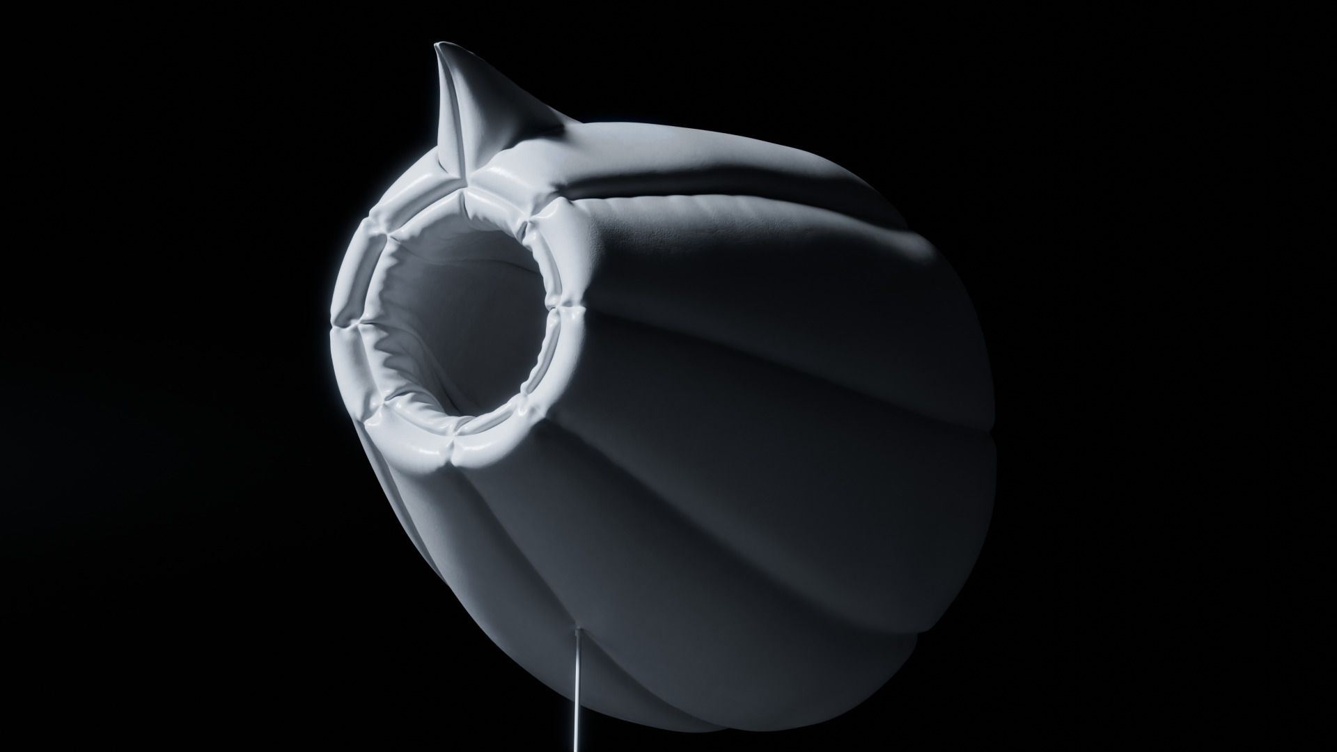 Blimp Wind Turbine 3D model_4