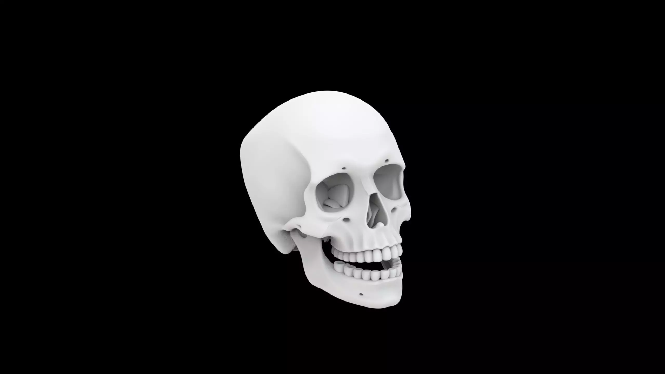 Human Skull with Open Jaw 3D 3D print model