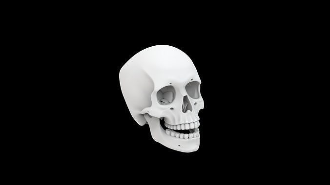 Human Skull with Open Jaw 3D 3D print model