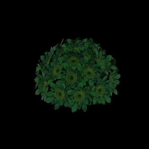 Flowers and Grass 3D Model Collection_10