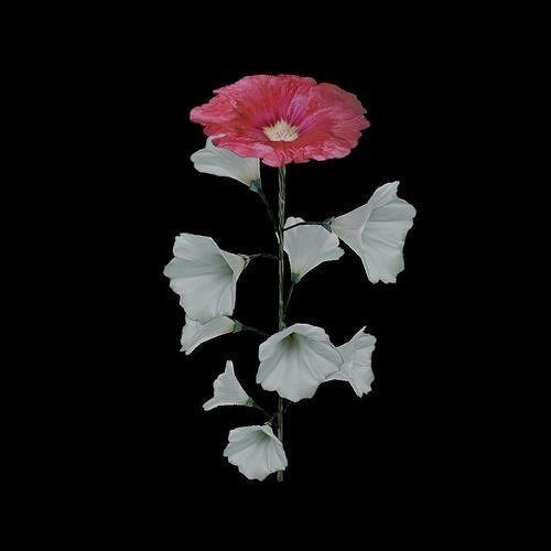 Flowers and Grass 3D Model Collection_23