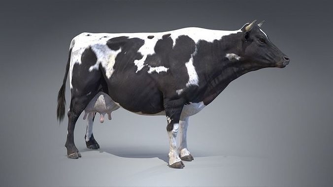 cow cow Free low-poly 3D model