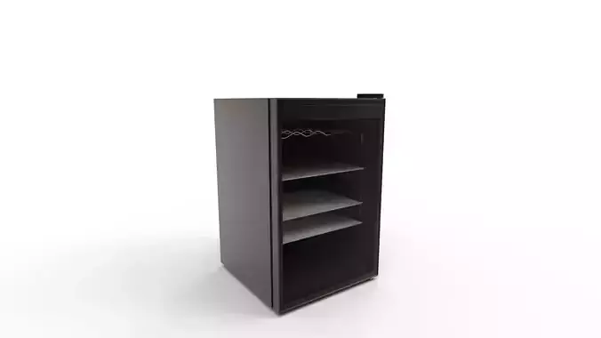 Mini Beverage Refrigerator and Cooler