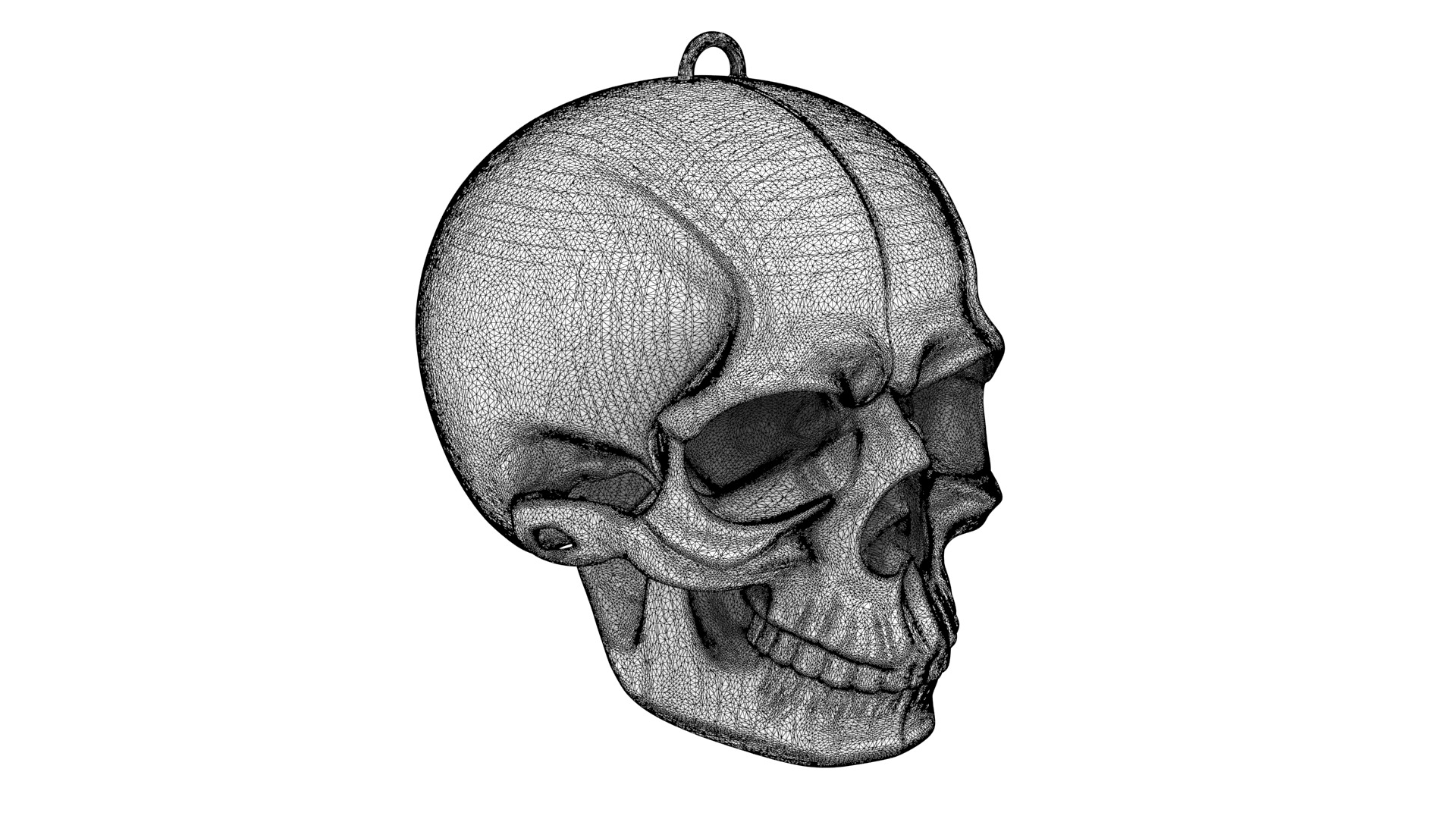 Abstract skull 02 3D model_11