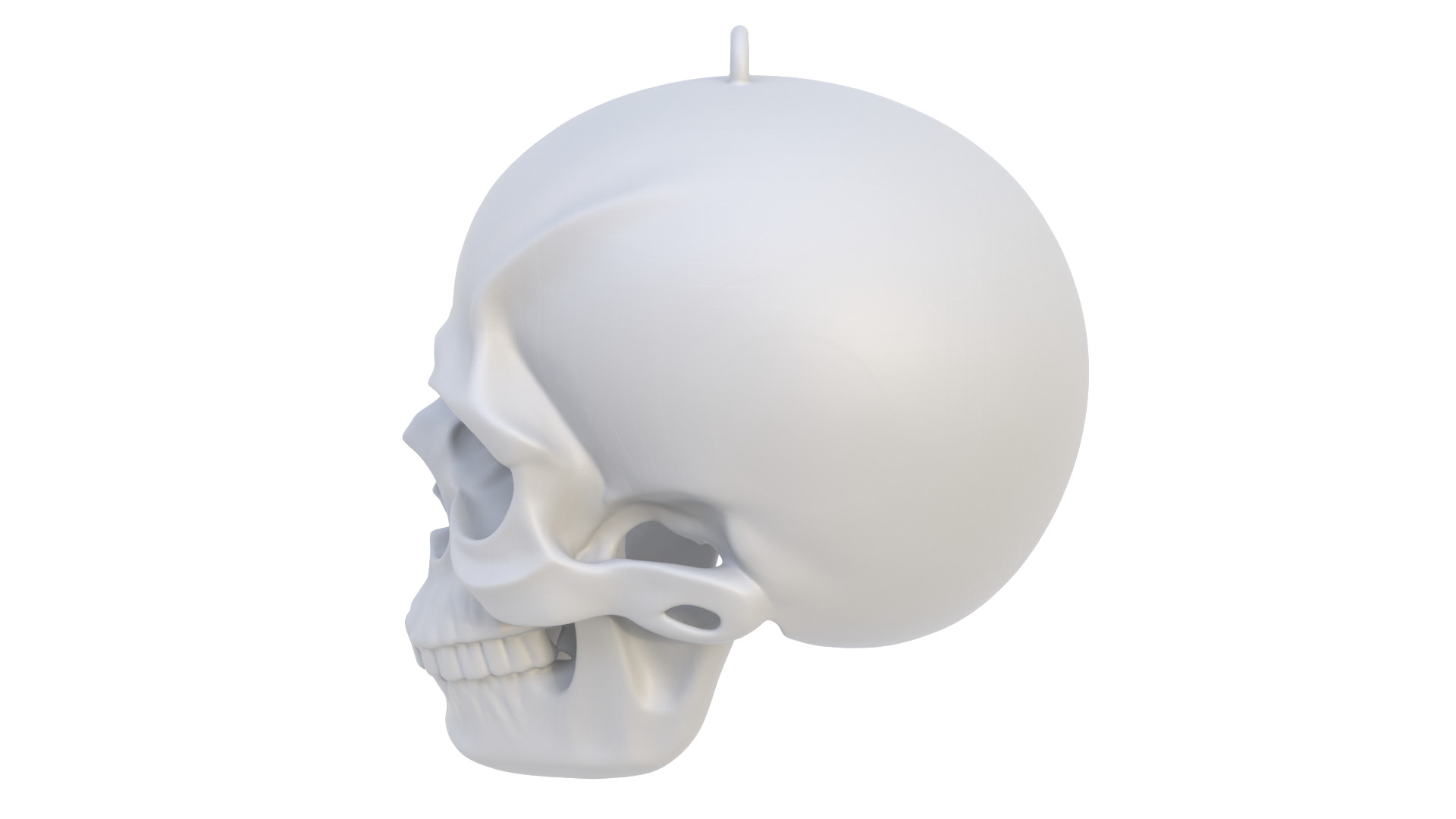 Abstract skull 02 3D model_3