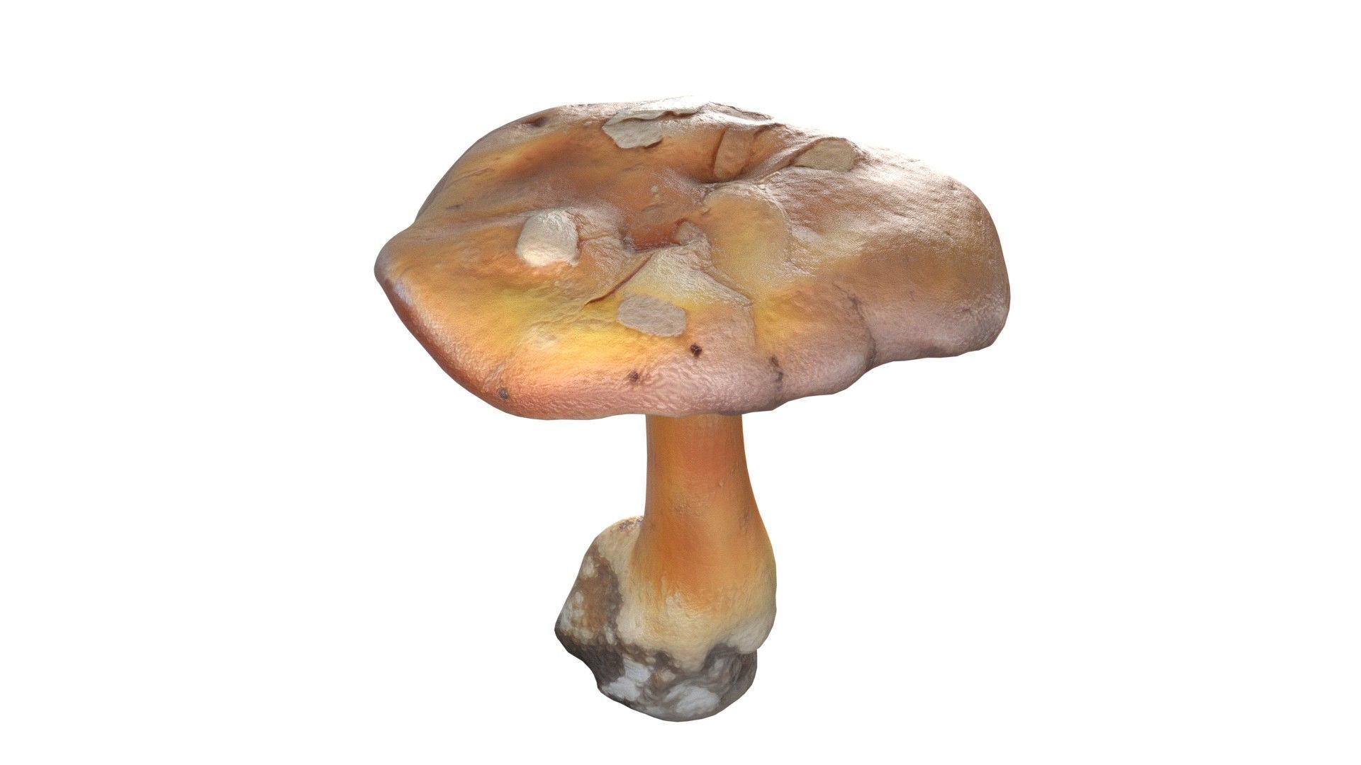 Mushroom 4  Low-poly 3D model_5