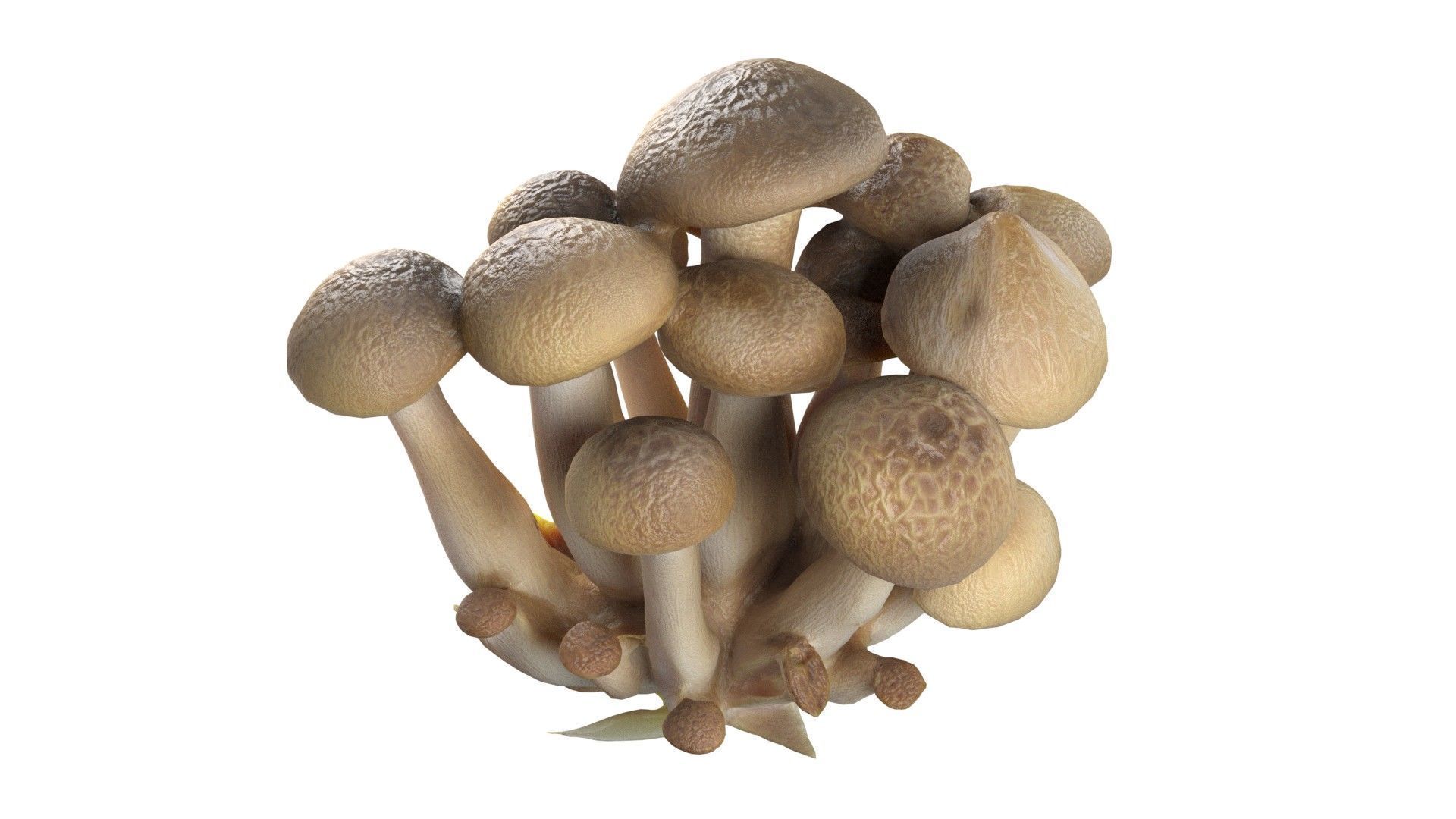 Mushroom 6  Low-poly 3D model_4