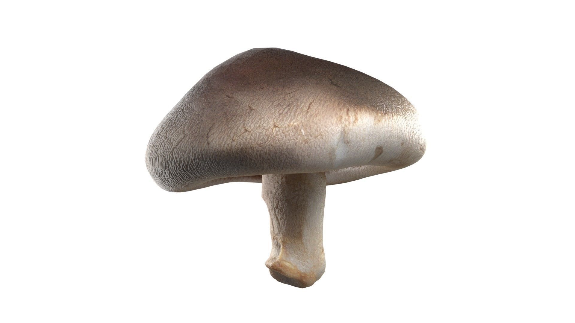 Mushroom 11 Low-poly 3D model_3