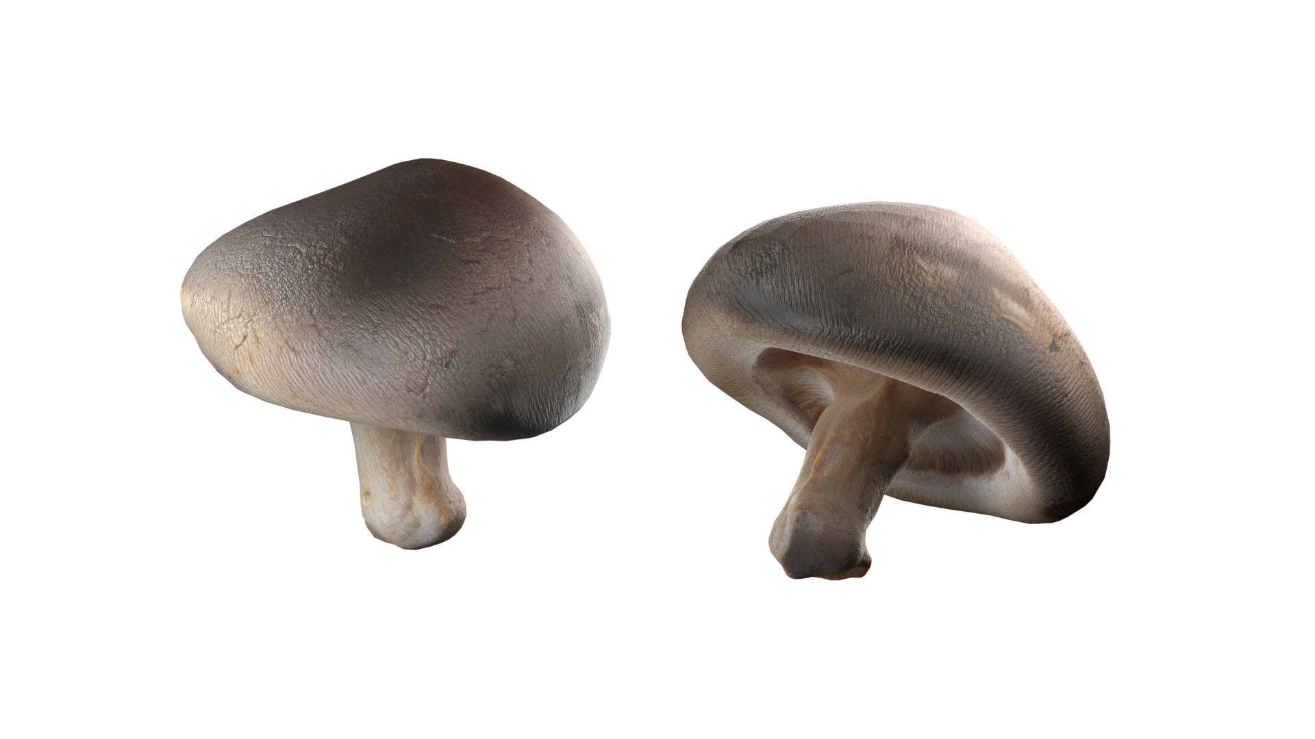 Mushroom 11 Low-poly 3D model_1