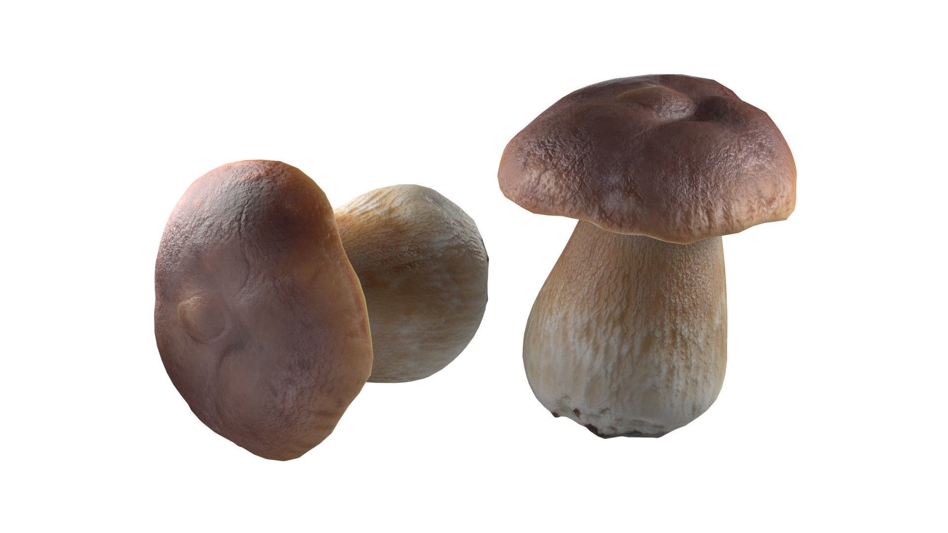 Mushroom 14 Low-poly 3D model_2