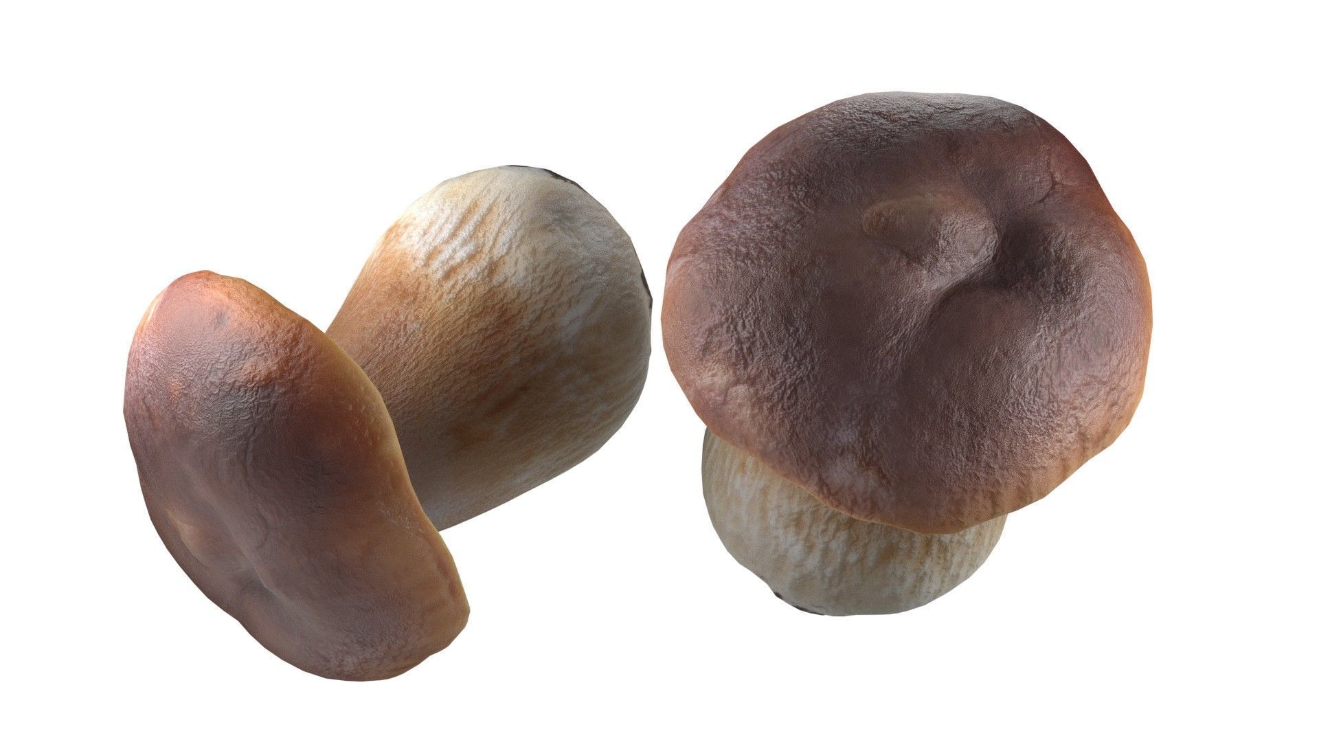 Mushroom 14 Low-poly 3D model_6