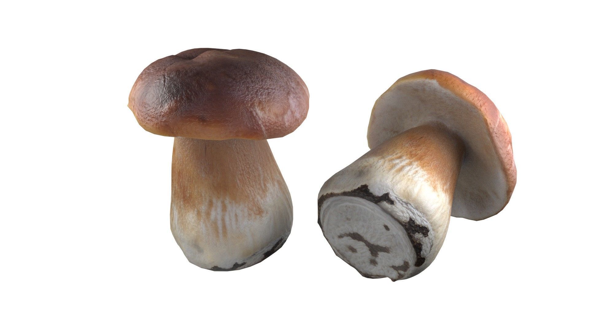 Mushroom 14 Low-poly 3D model_1
