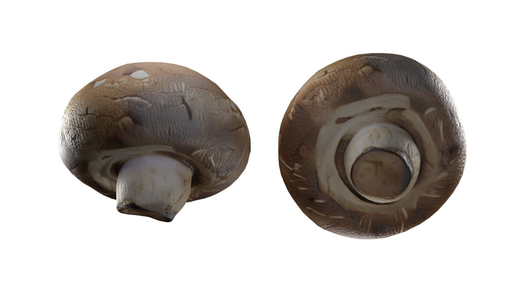 Mushroom 20 Low-poly 3D model_4