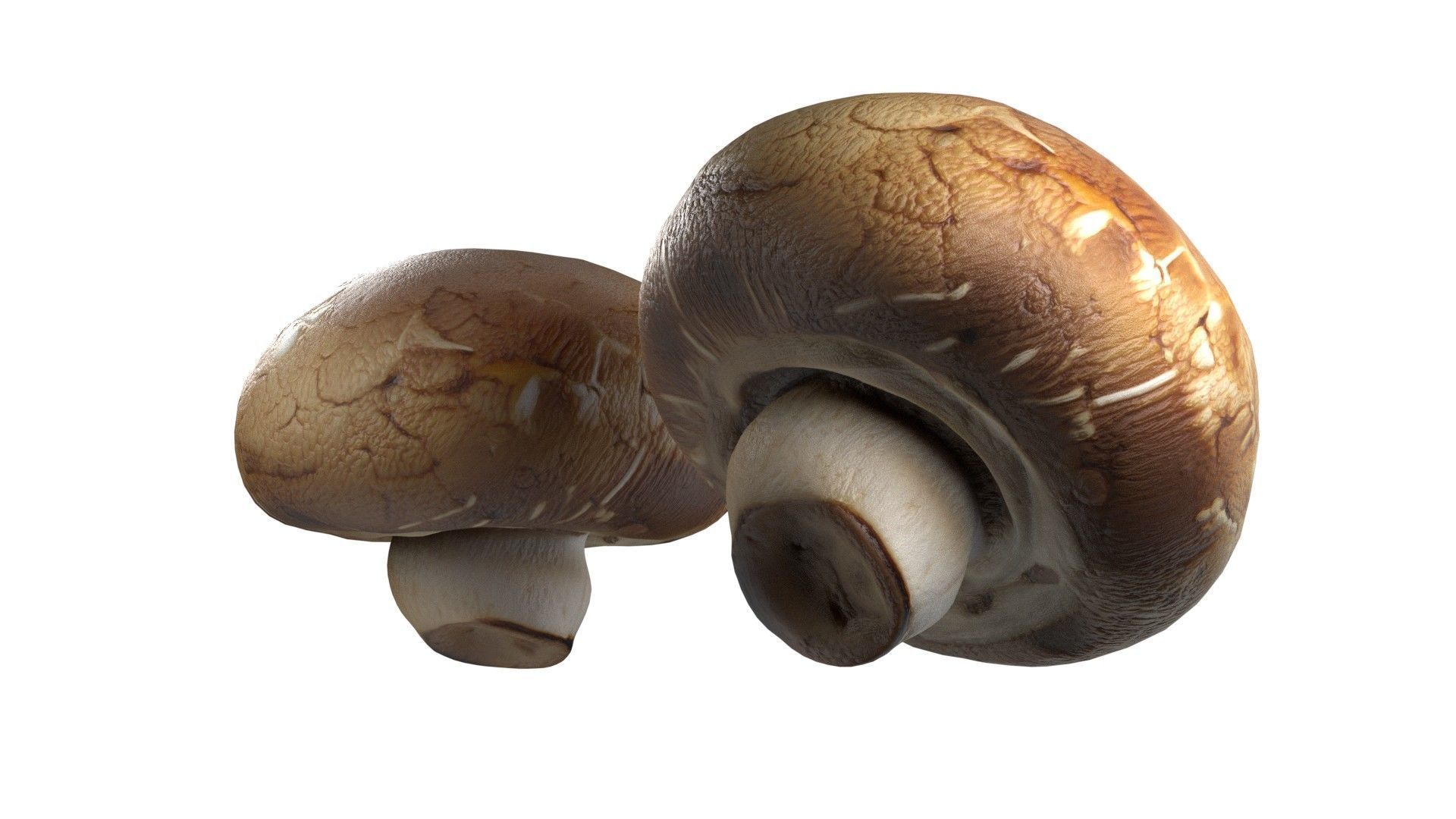 Mushroom 20 Low-poly 3D model_2