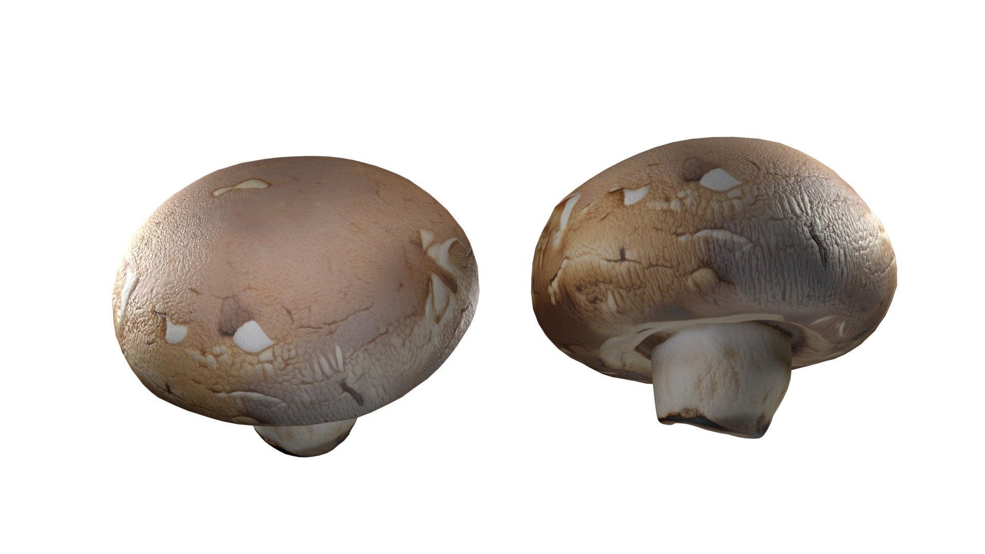 Mushroom 20 Low-poly 3D model_3
