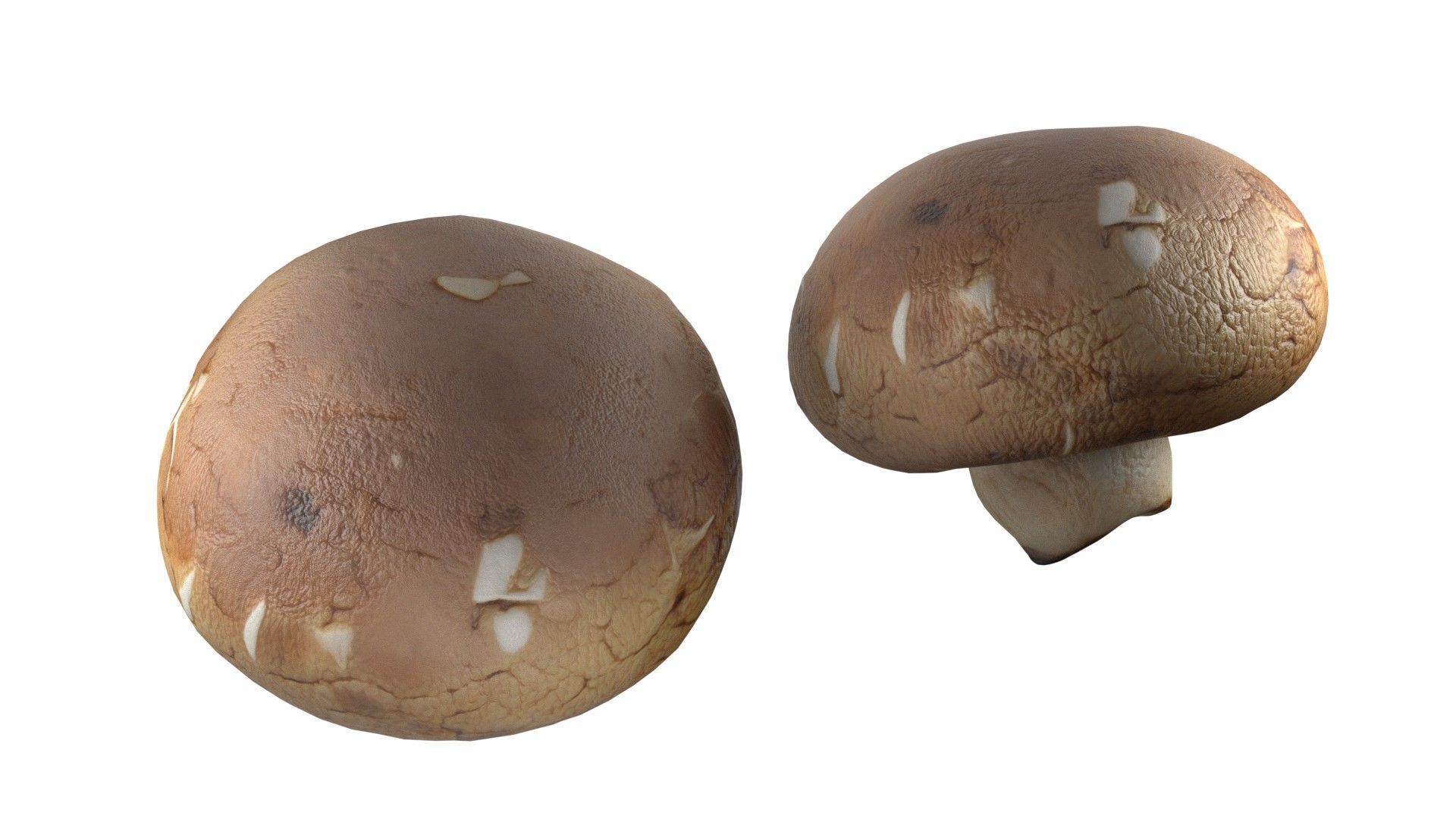 Mushroom 20 Low-poly 3D model_5