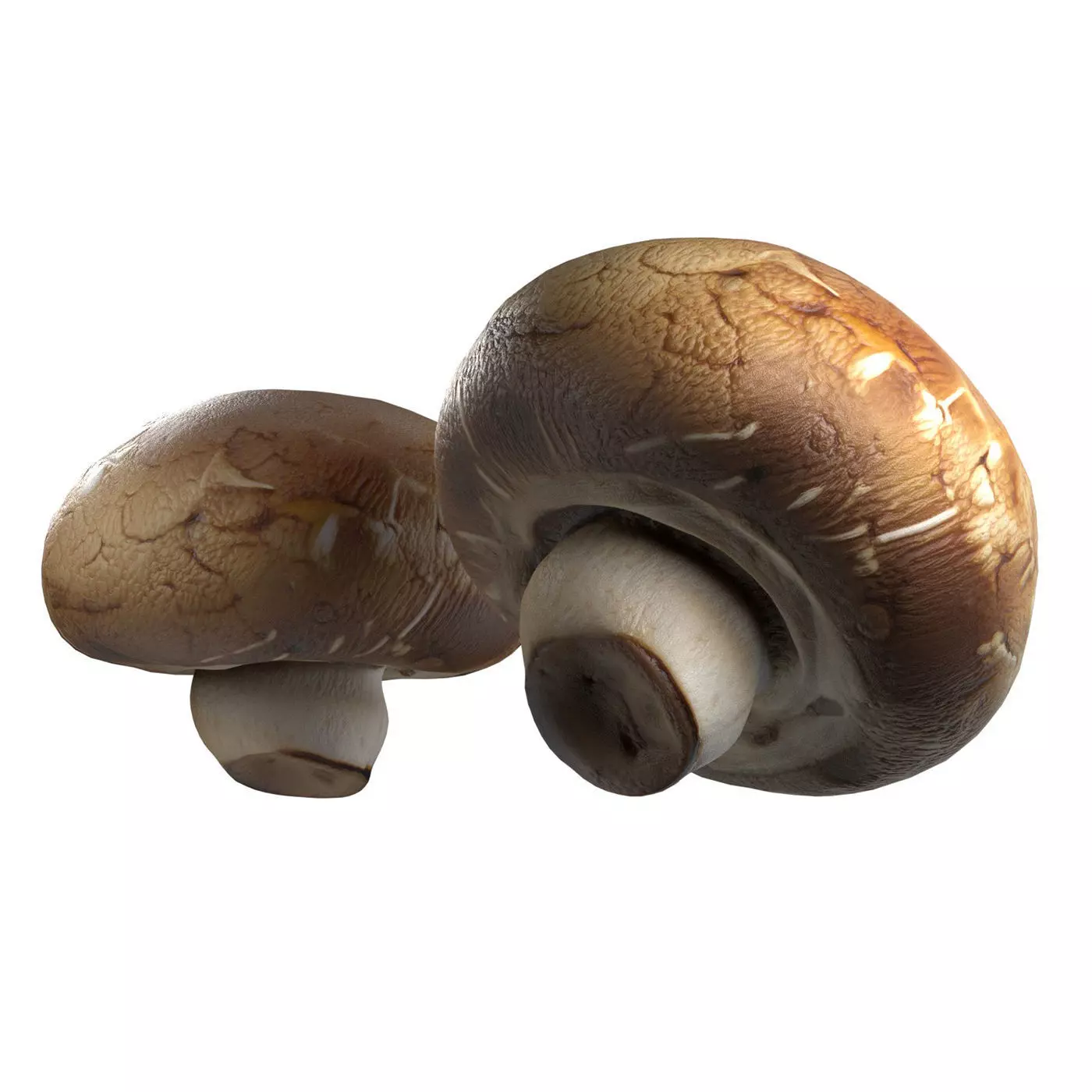 Mushroom 20 Low-poly 3D model_0