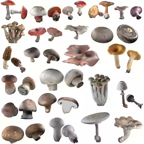 Mushrooms Collection   Low-poly 3D model