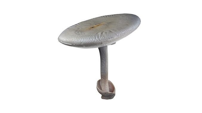 Mushrooms Collection   Low-poly 3D model 2
