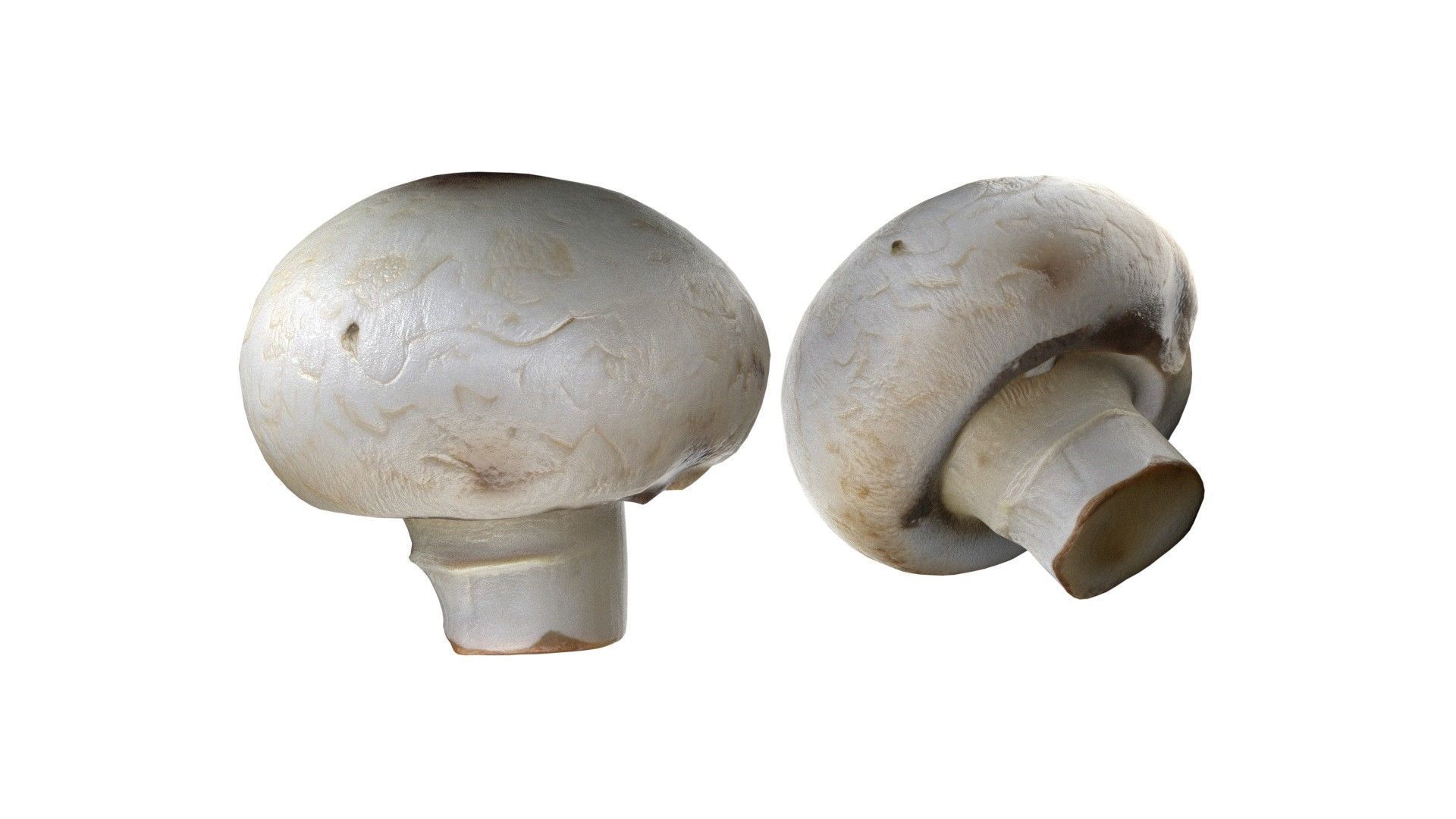 Mushrooms Collection   Low-poly 3D model_9