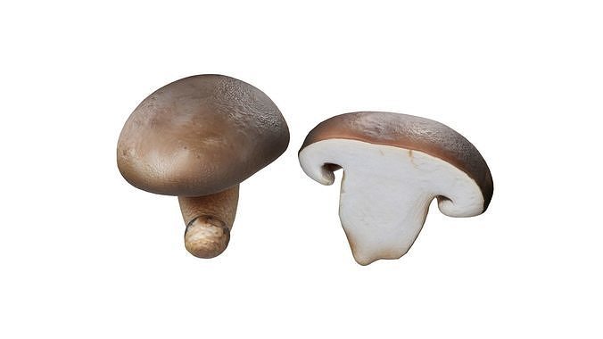 Mushrooms Collection   Low-poly 3D model 6