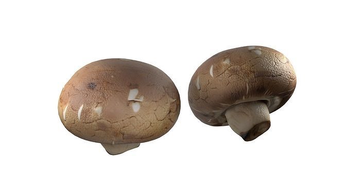 Mushrooms Collection   Low-poly 3D model 5