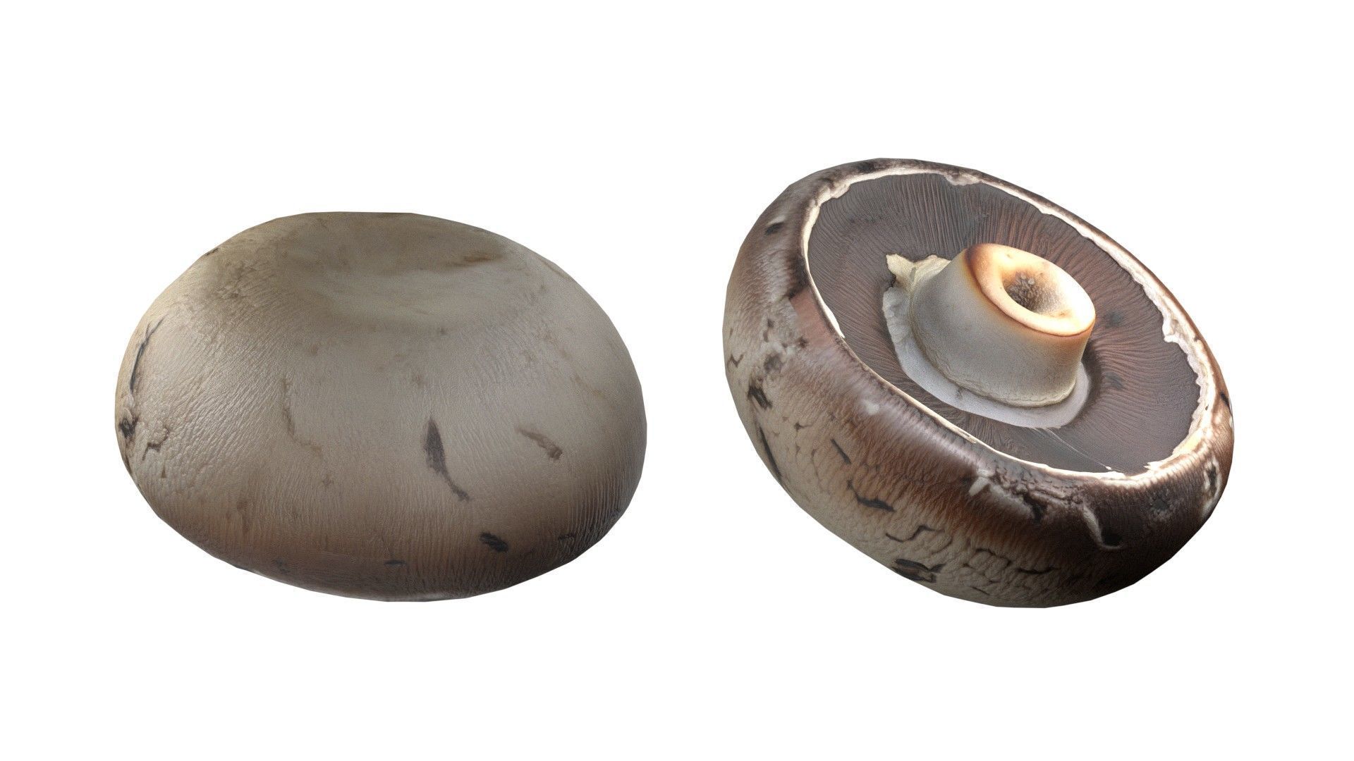 Mushrooms Collection   Low-poly 3D model_15