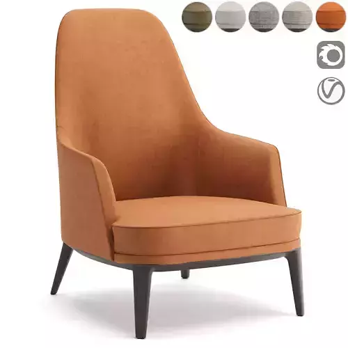 Jane Lounge Poliform Armchair