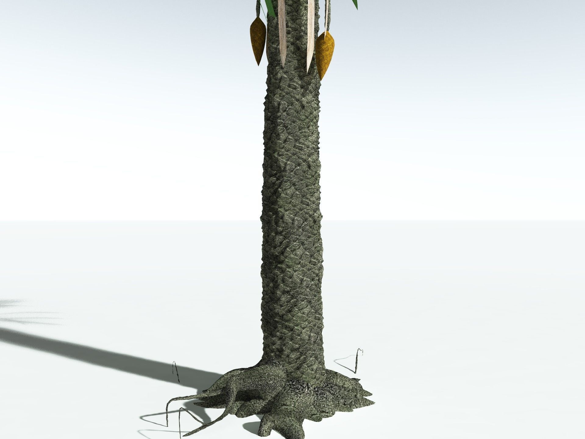 EVERYPlant Sigillaria Densifolia 3D model_23