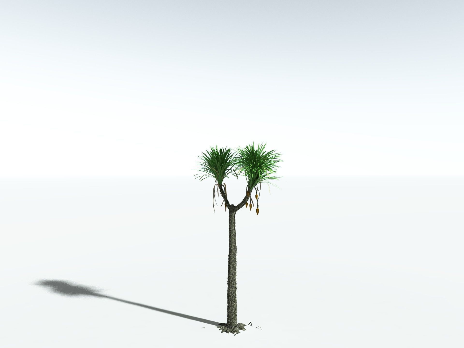 EVERYPlant Sigillaria Densifolia 3D model_8