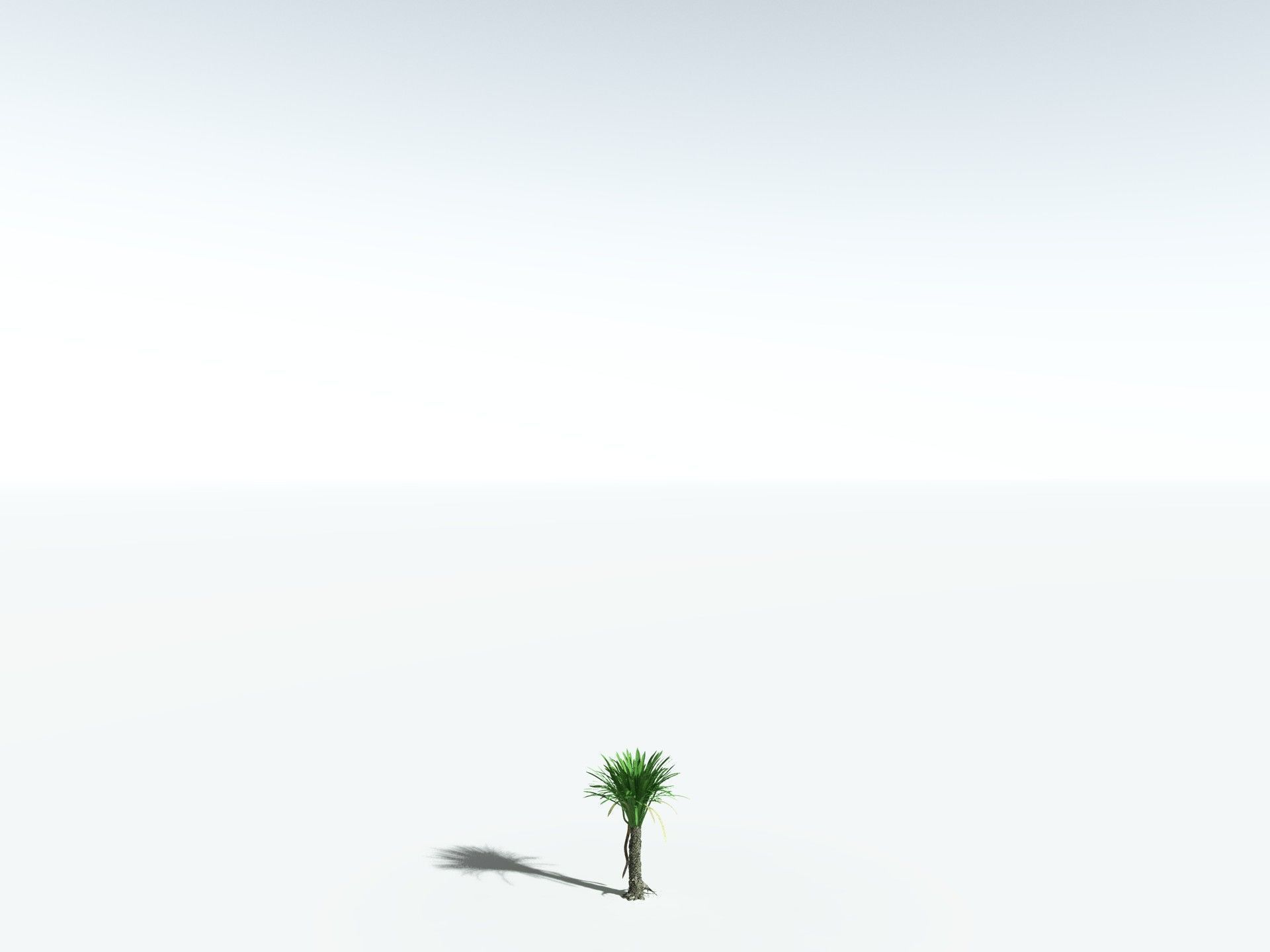 EVERYPlant Sigillaria Densifolia 3D model_24