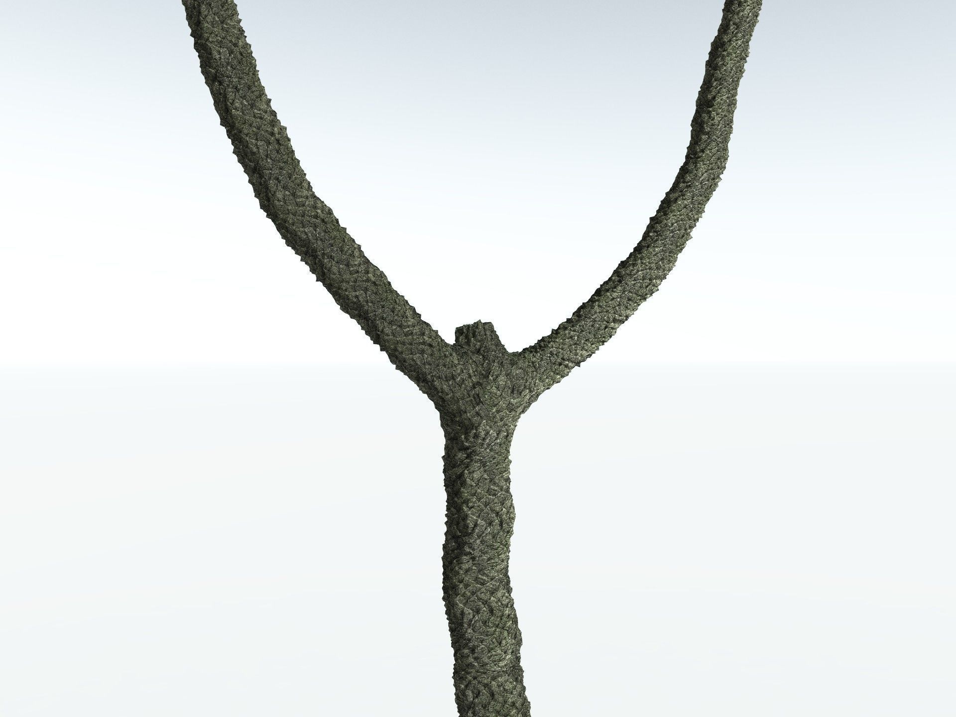 EVERYPlant Sigillaria Densifolia 3D model_21