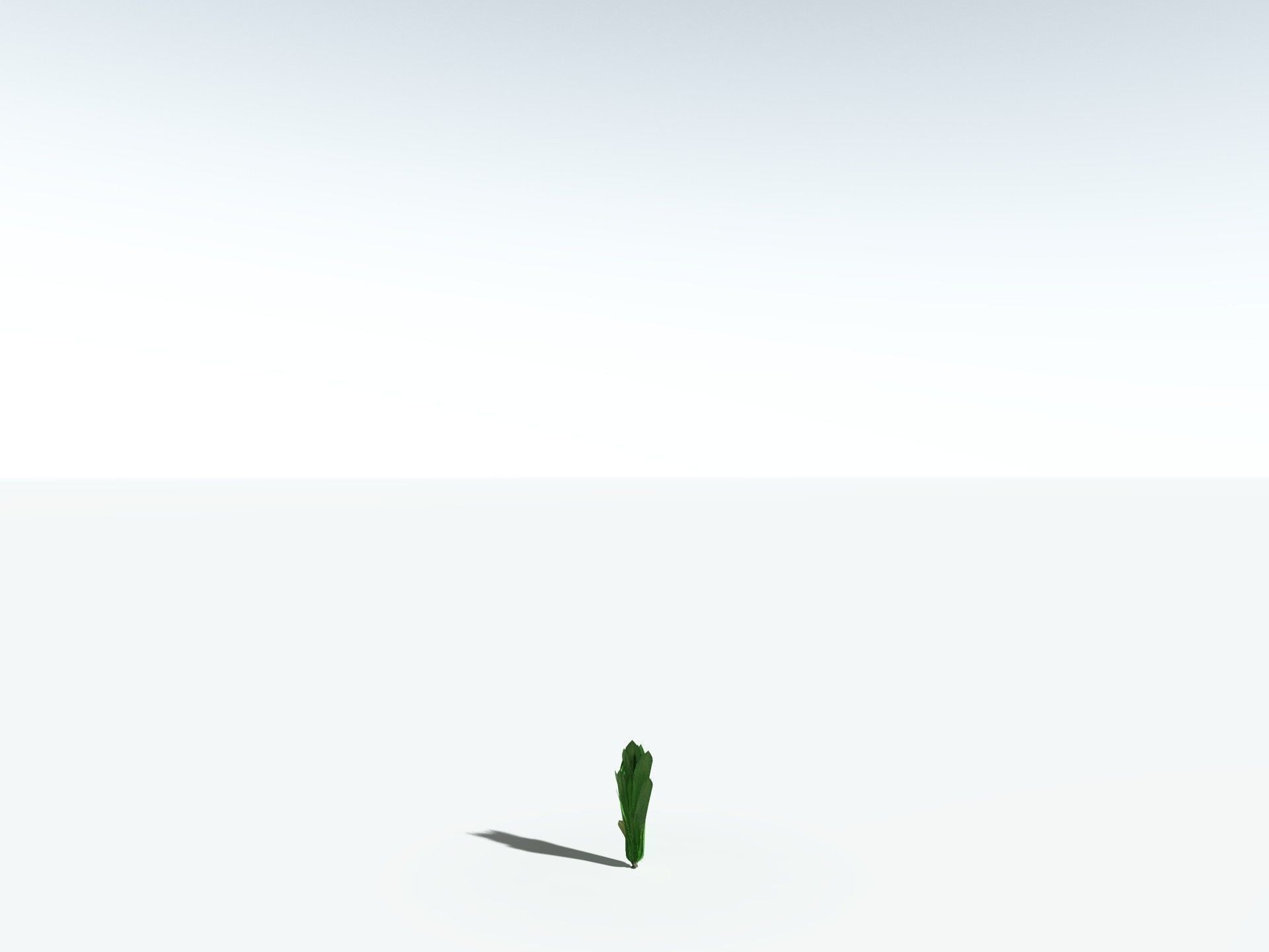 EVERYPlant Sigillaria Densifolia 3D model_31