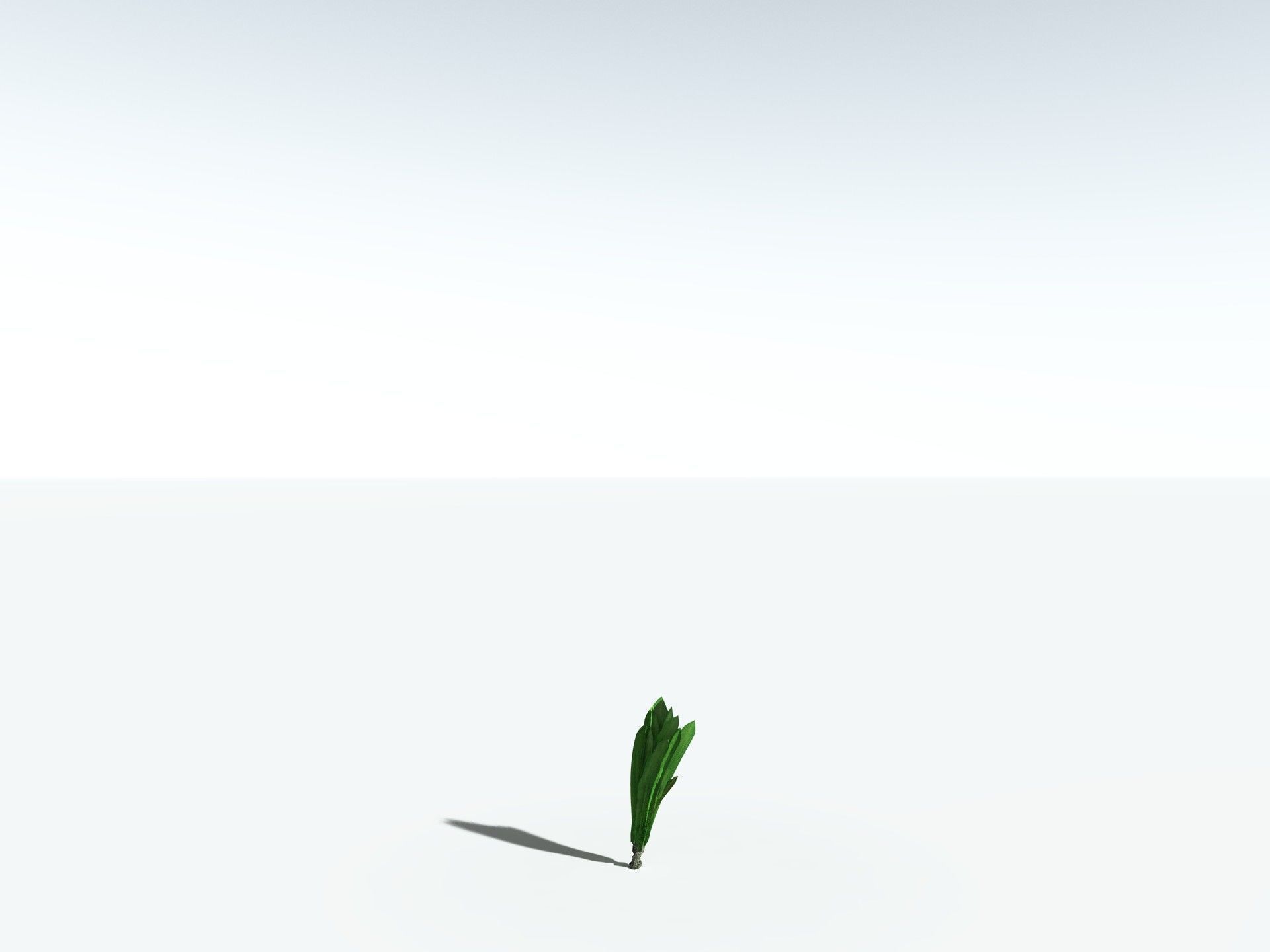 EVERYPlant Sigillaria Densifolia 3D model_29