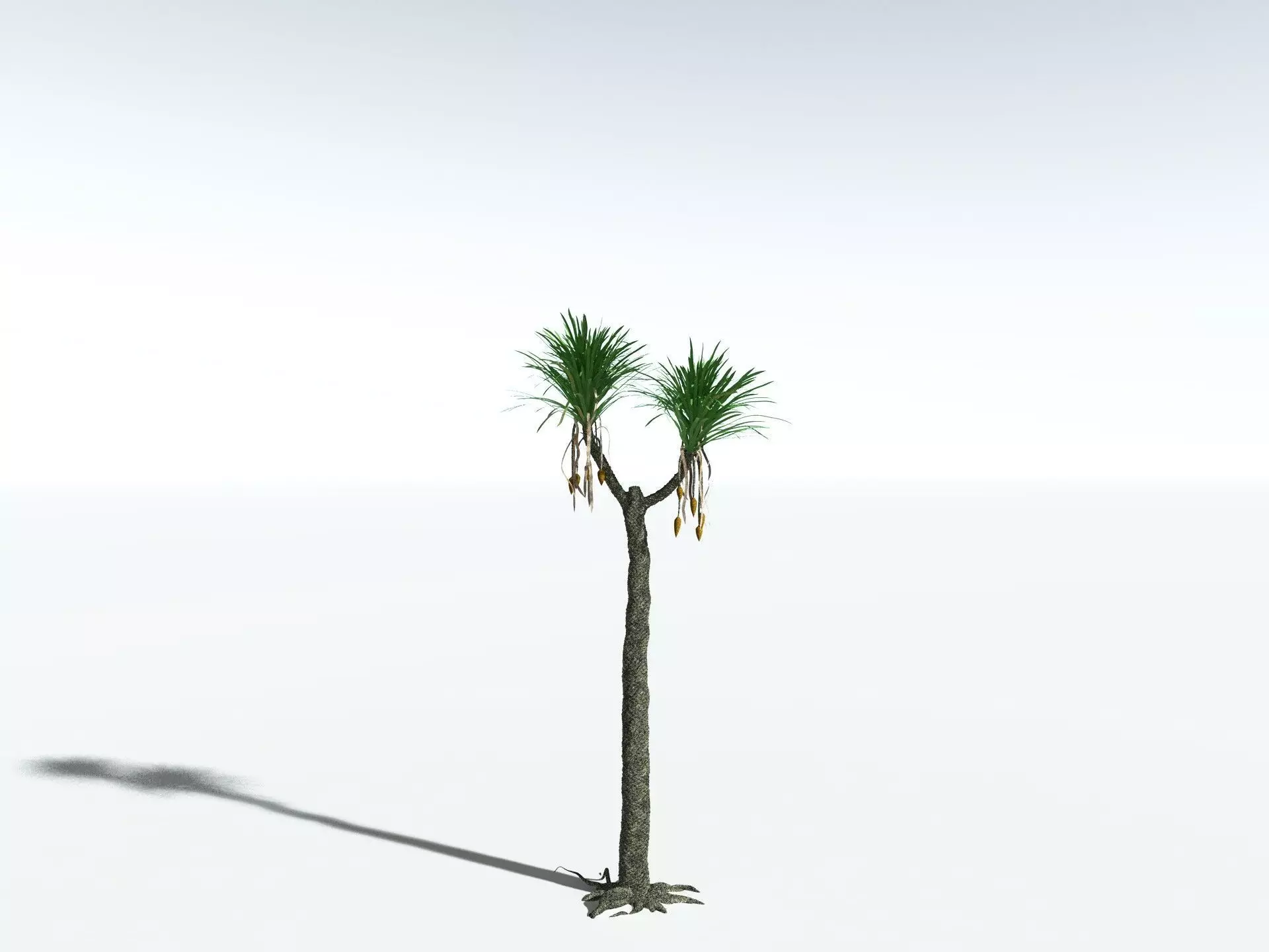 EVERYPlant Sigillaria Densifolia 3D model_0