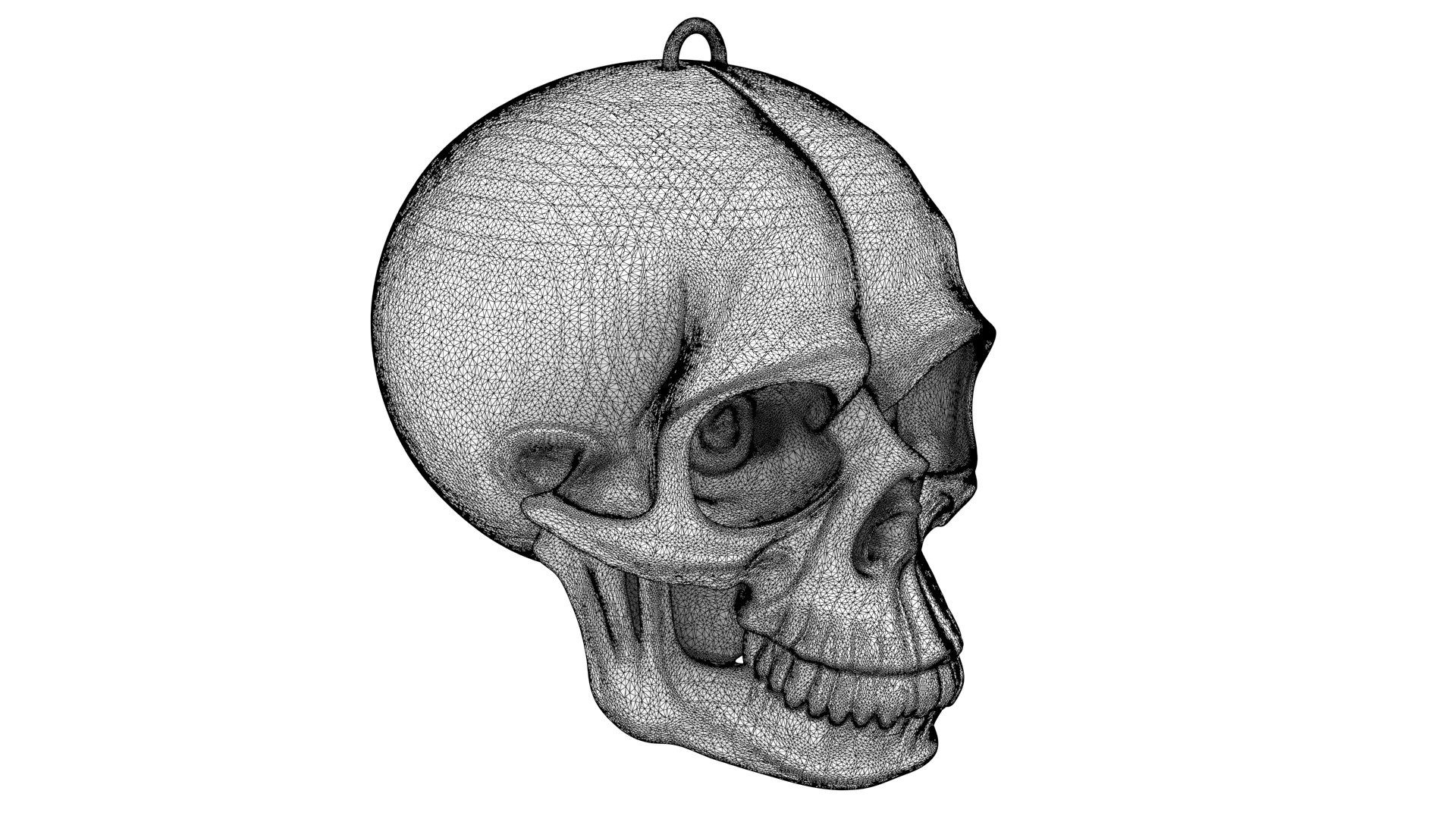 Abstract skull 03 3D model_10