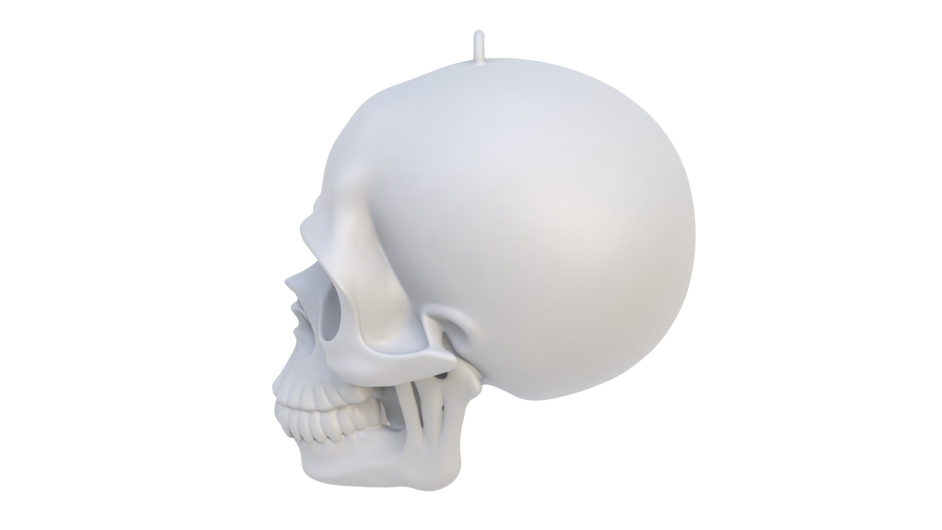 Abstract skull 03 3D model_3