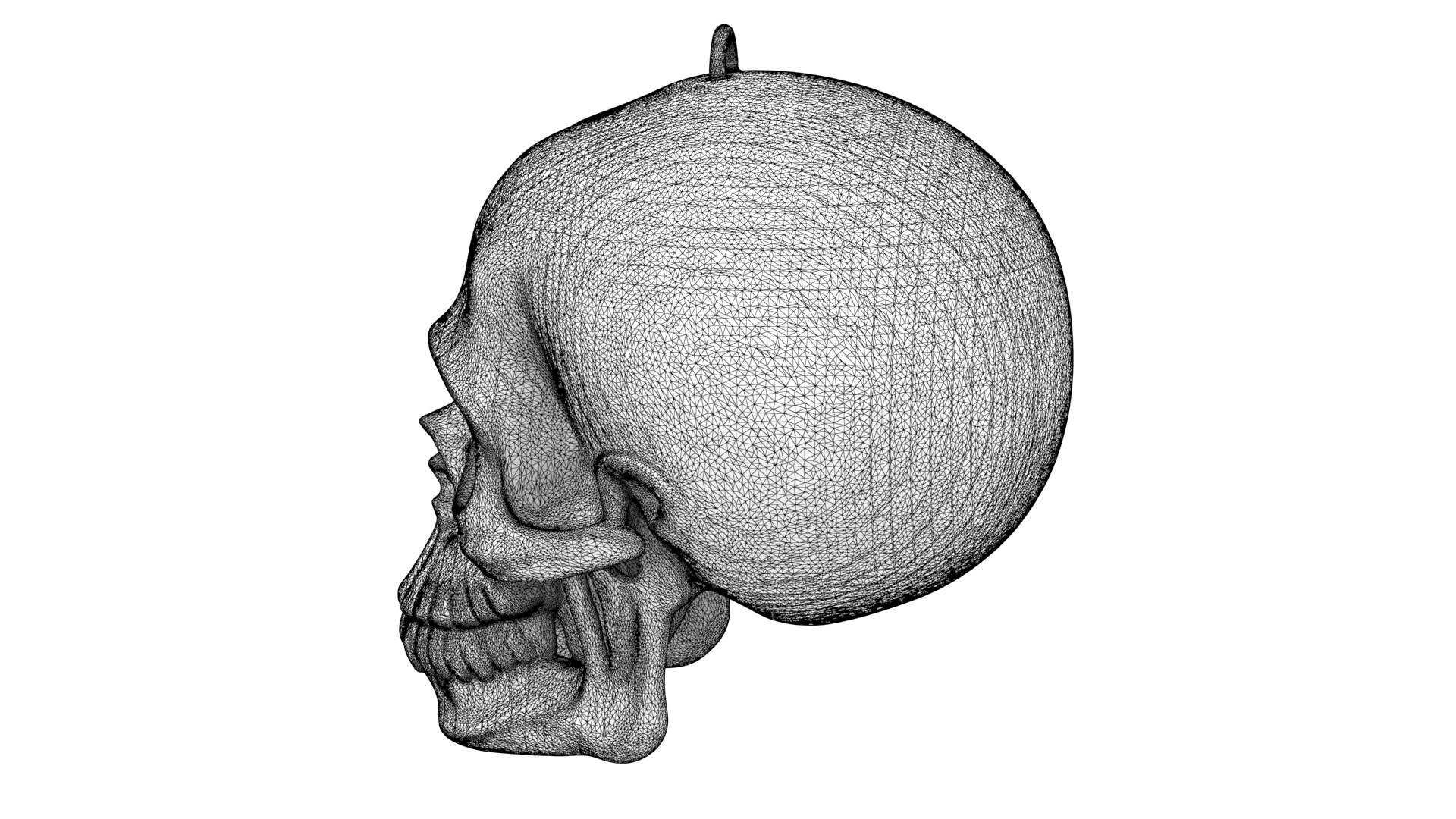 Abstract skull 03 3D model_11