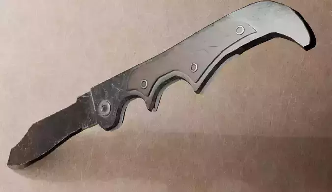 Worned Folding Pocket Knife