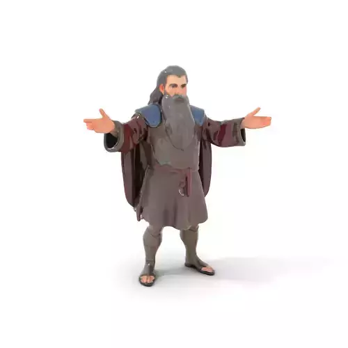 Elder Sage Rigged and Animated D Character Model