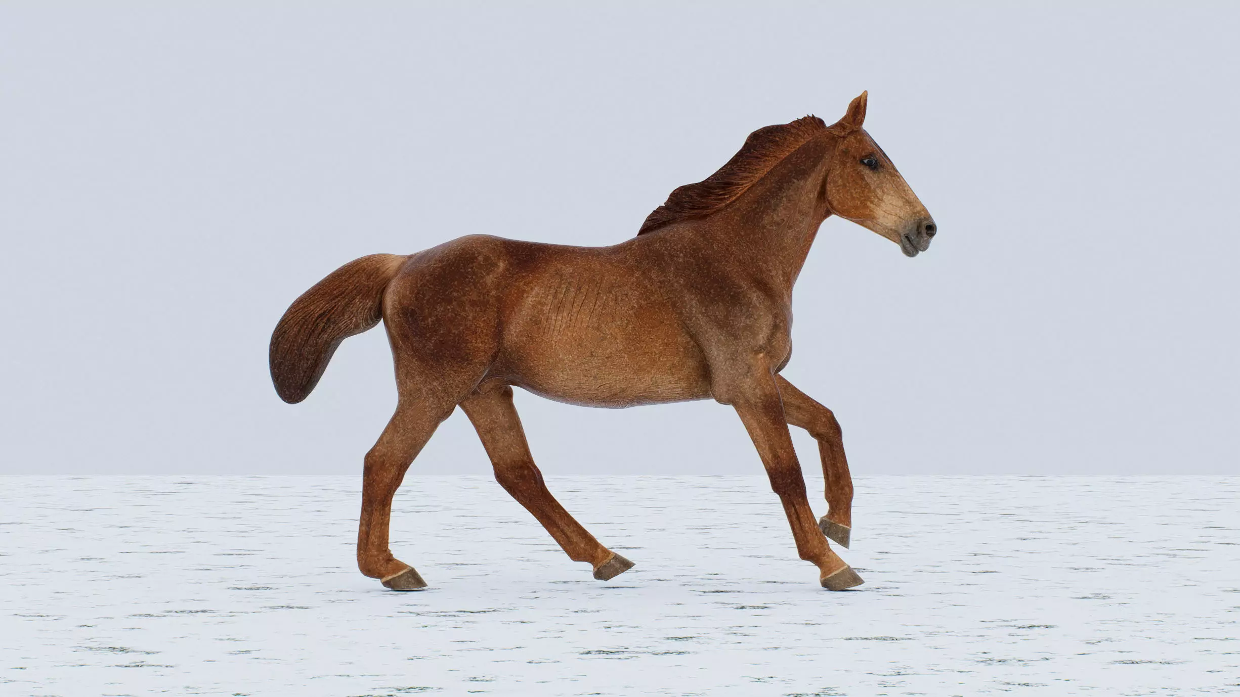Horse Low-poly 3D model