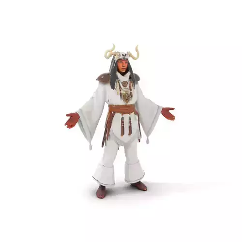 Mystical Shaman Character Rigged and Animated with Detailed T... Low-poly 3D model