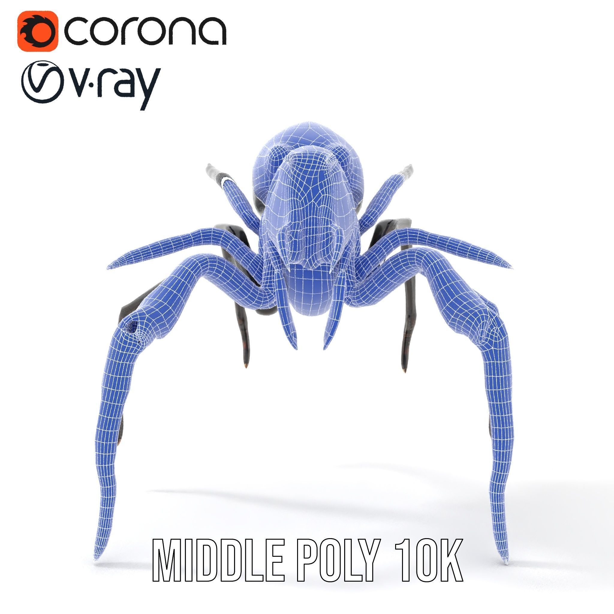 Cyber Arachnid Rigged and Animated D Character Model Low-poly 3D model_24
