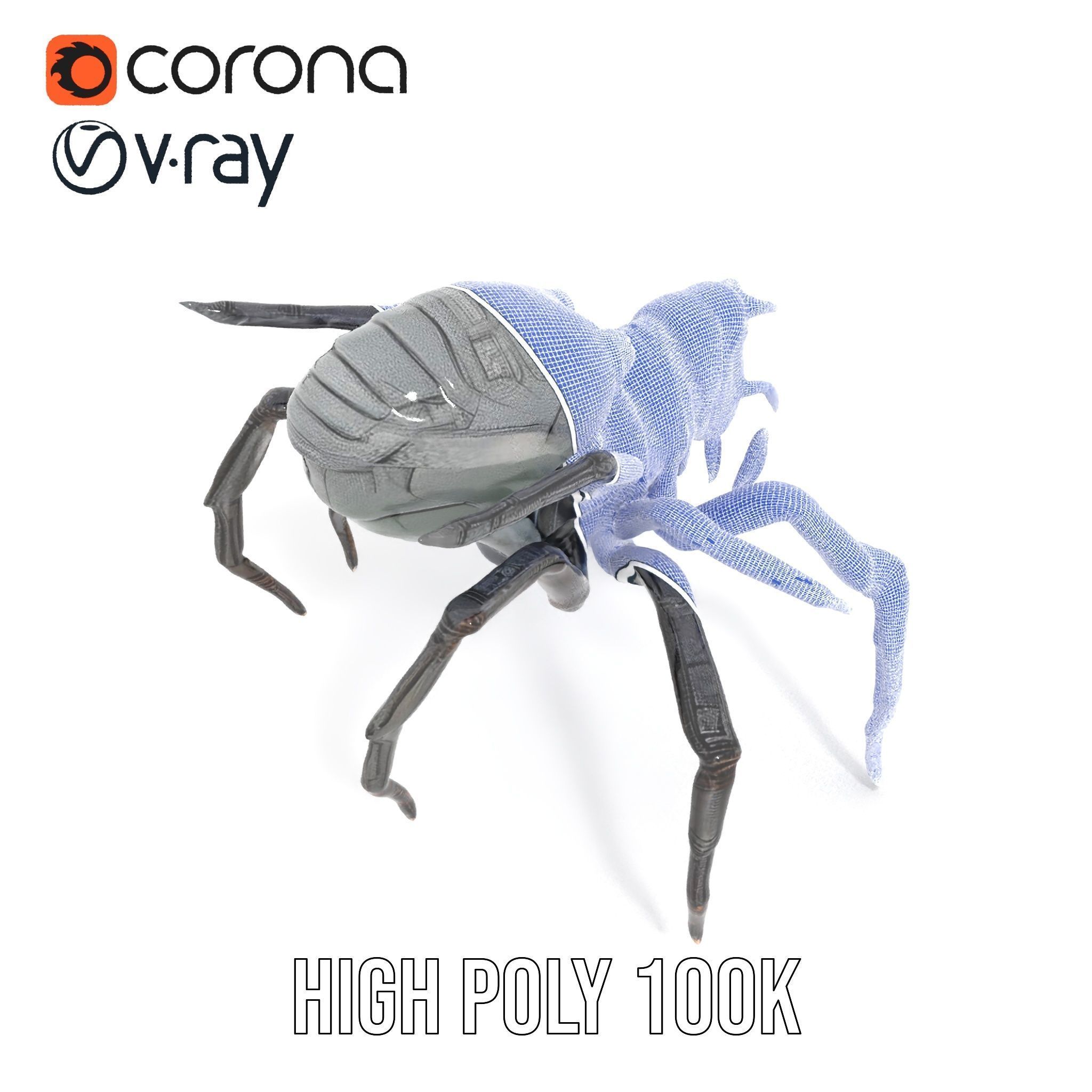 Cyber Arachnid Rigged and Animated D Character Model Low-poly 3D model_31