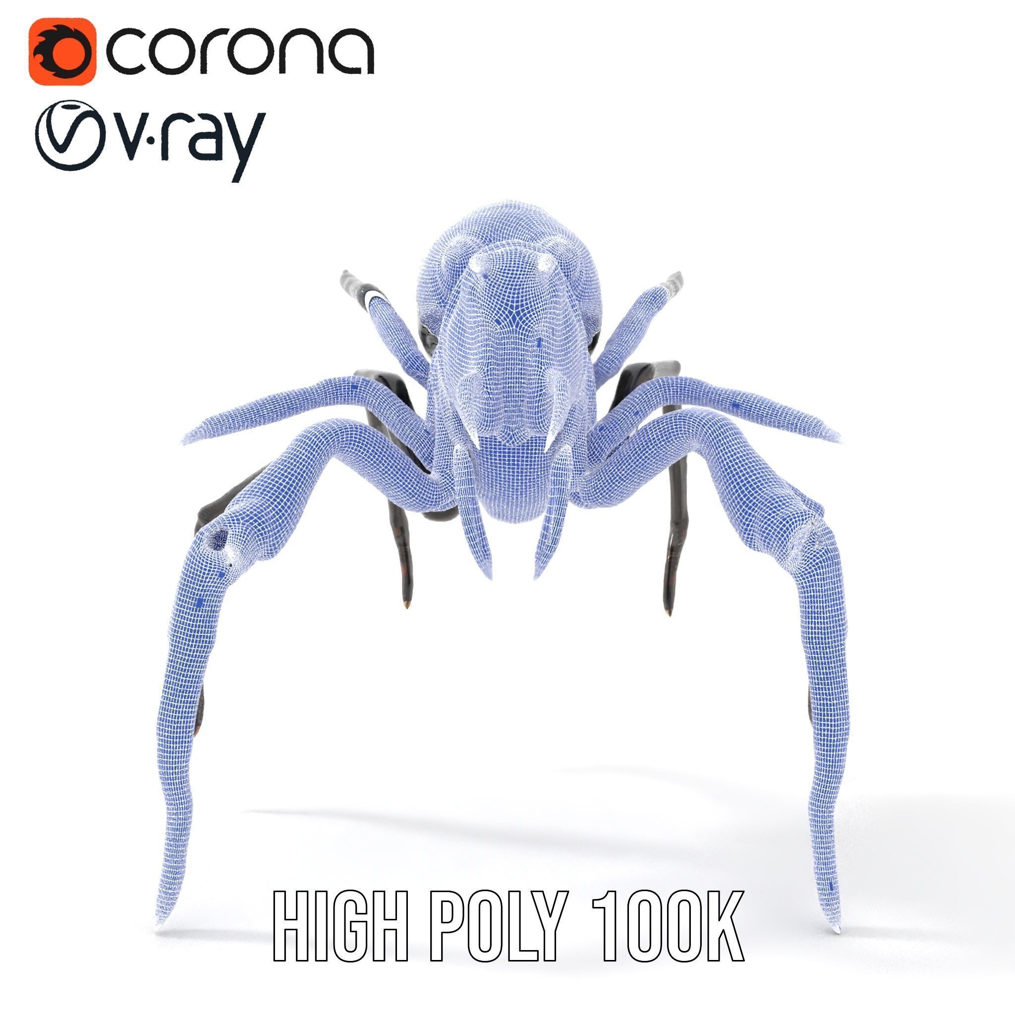 Cyber Arachnid Rigged and Animated D Character Model Low-poly 3D model_28