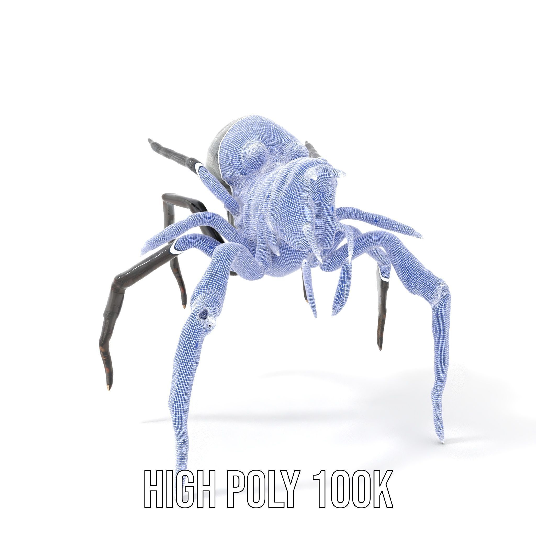 Cyber Arachnid Rigged and Animated D Character Model Low-poly 3D model_4