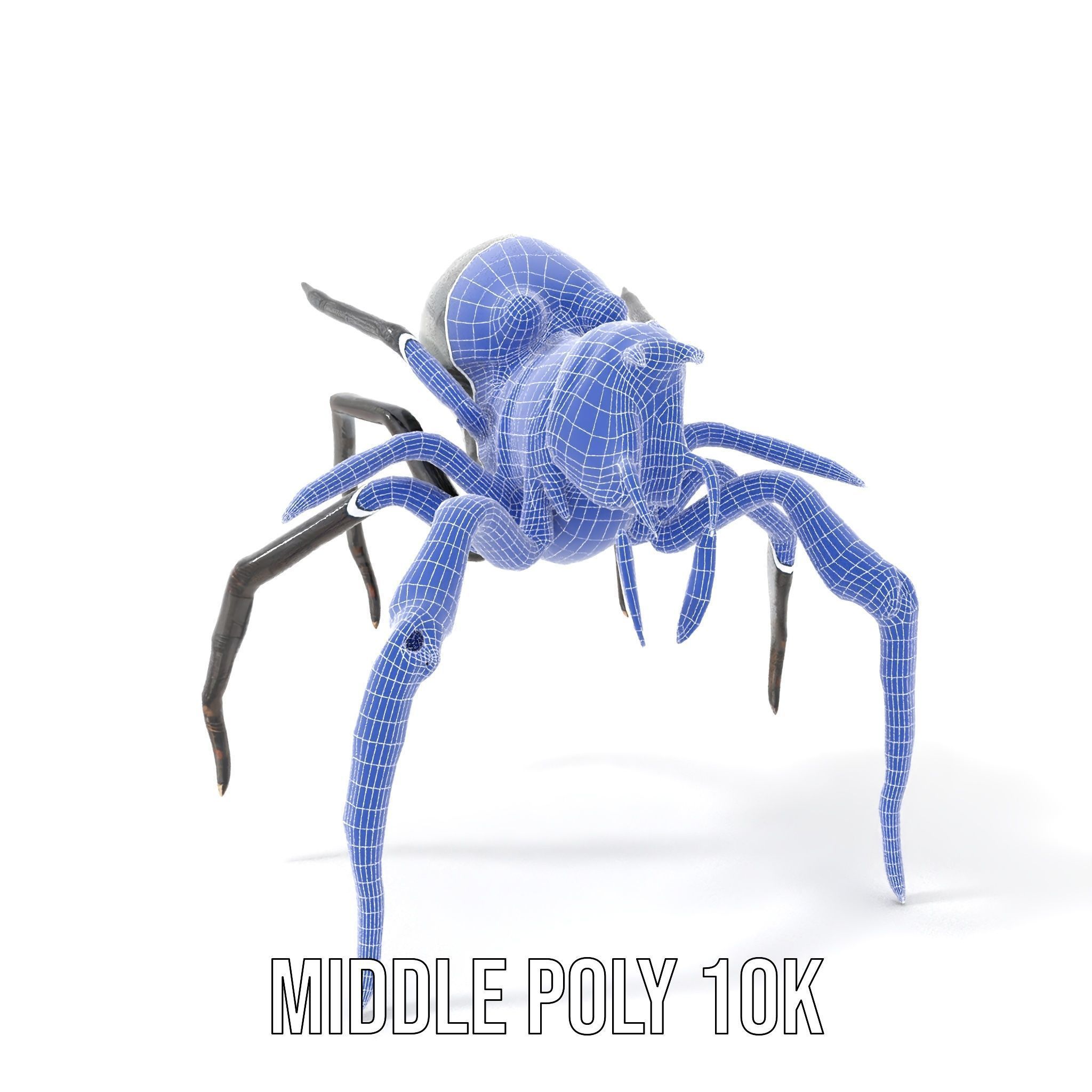 Cyber Arachnid Rigged and Animated D Character Model Low-poly 3D model_32