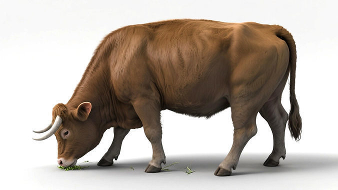 Rigged Cattle with 4k textures and animations 3D model